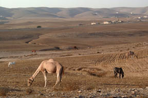 The ring of Negev - Copyright Dmitry Tsiplakov